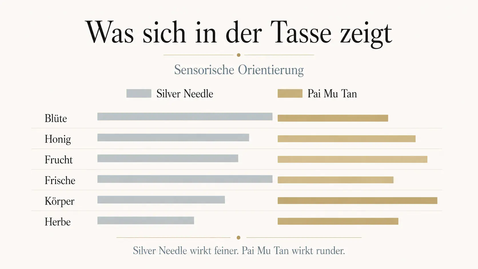 Infografik: Geschmacksprofil von weissem Tee, Silver Needle und Pai Mu Tan im sensorischen Vergleich
