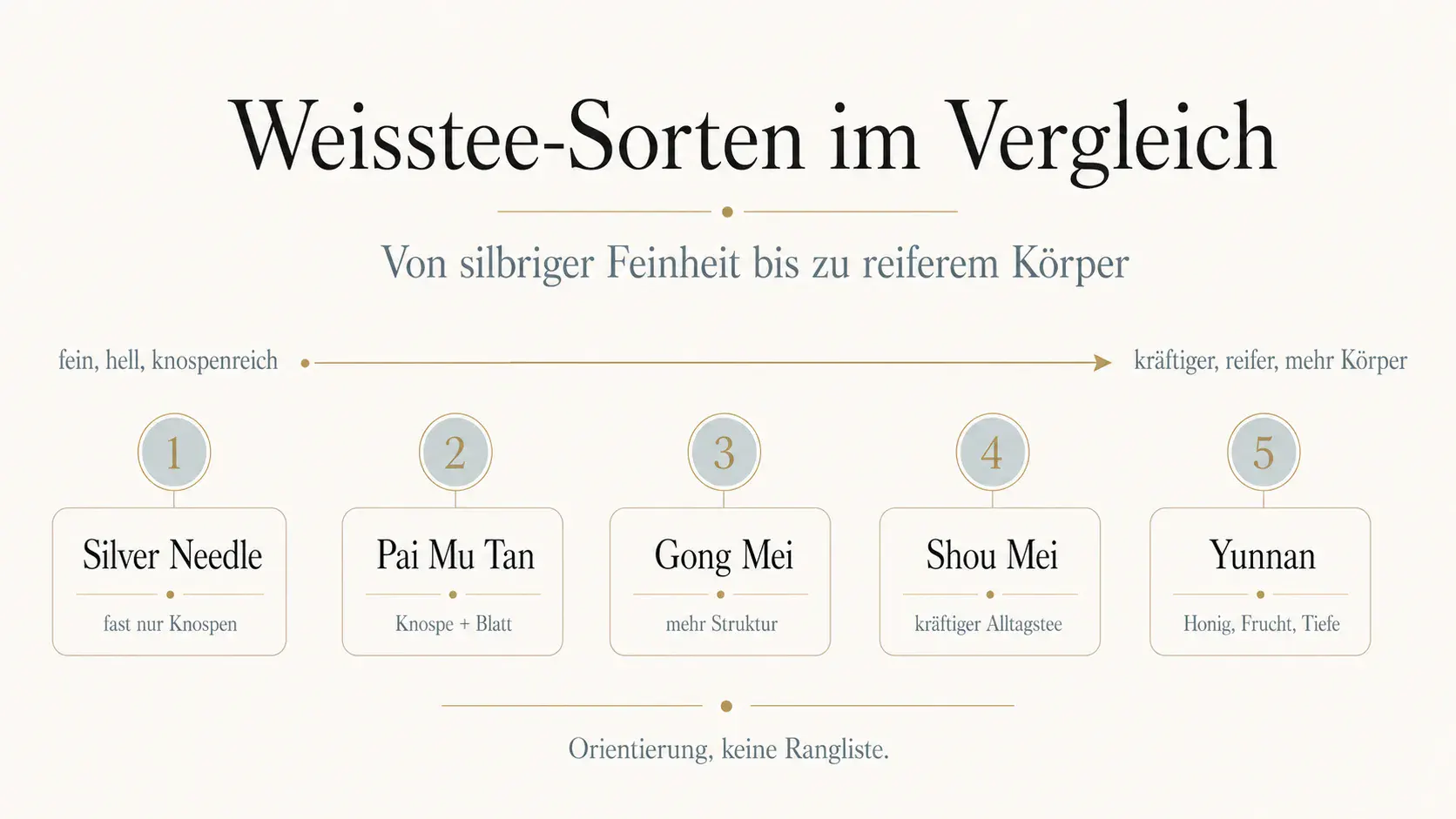 Infografik: Weisstee-Sorten im Vergleich mit Silver Needle, Pai Mu Tan, Gong Mei, Shou Mei und Yunnan